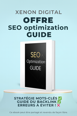 Offre 2 : SEO Optimization Guide