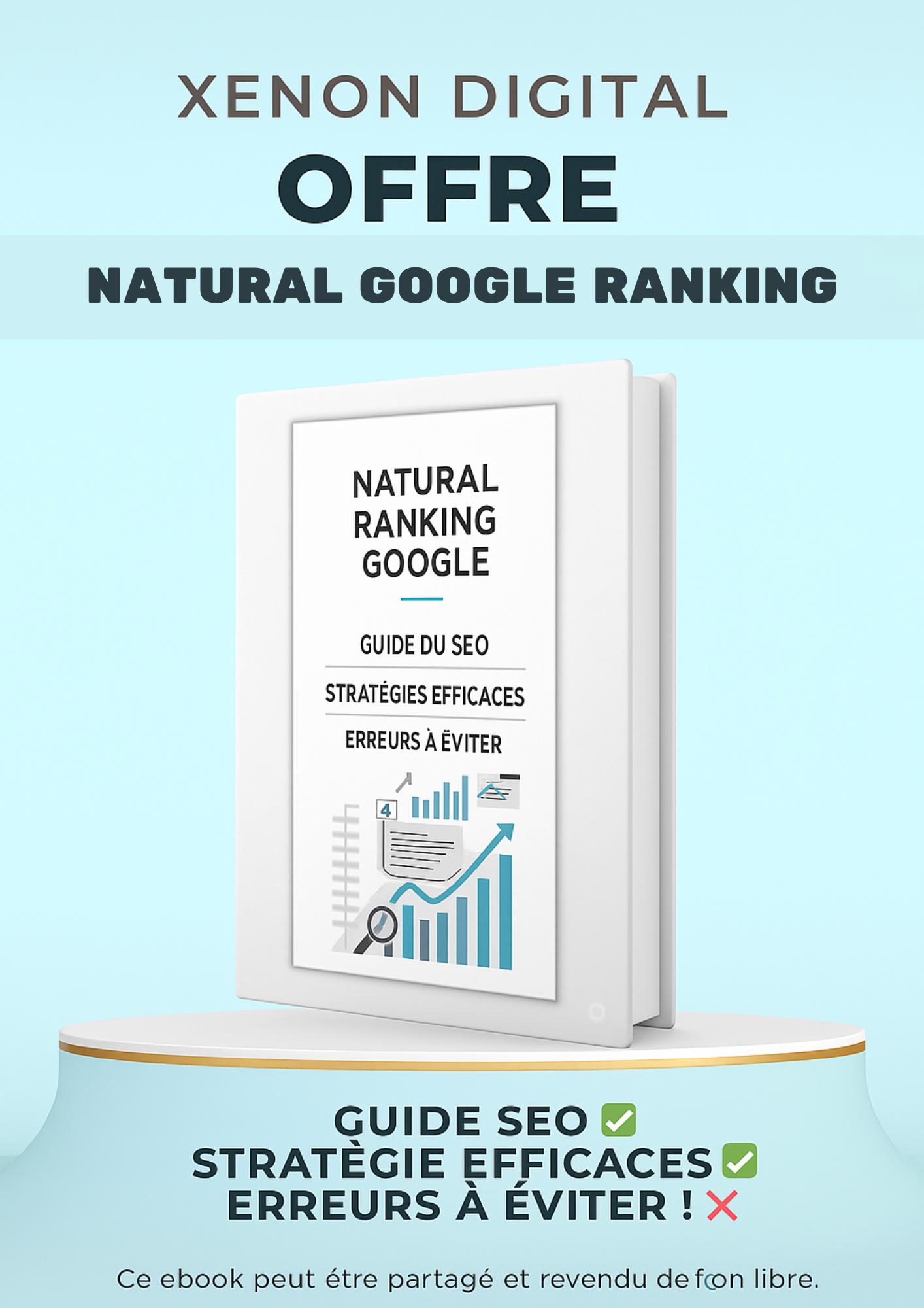 Offre 1 : Natural Google Ranking