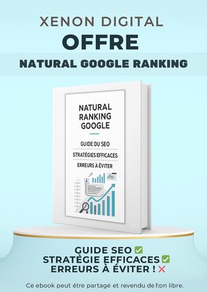 Offre 1 : Natural Google Ranking